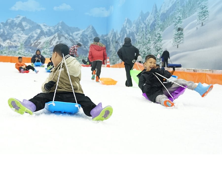 Snowy Family Escape